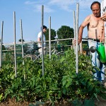 Urbi et Orti, mostra al Fuori Salone 2014 Milano